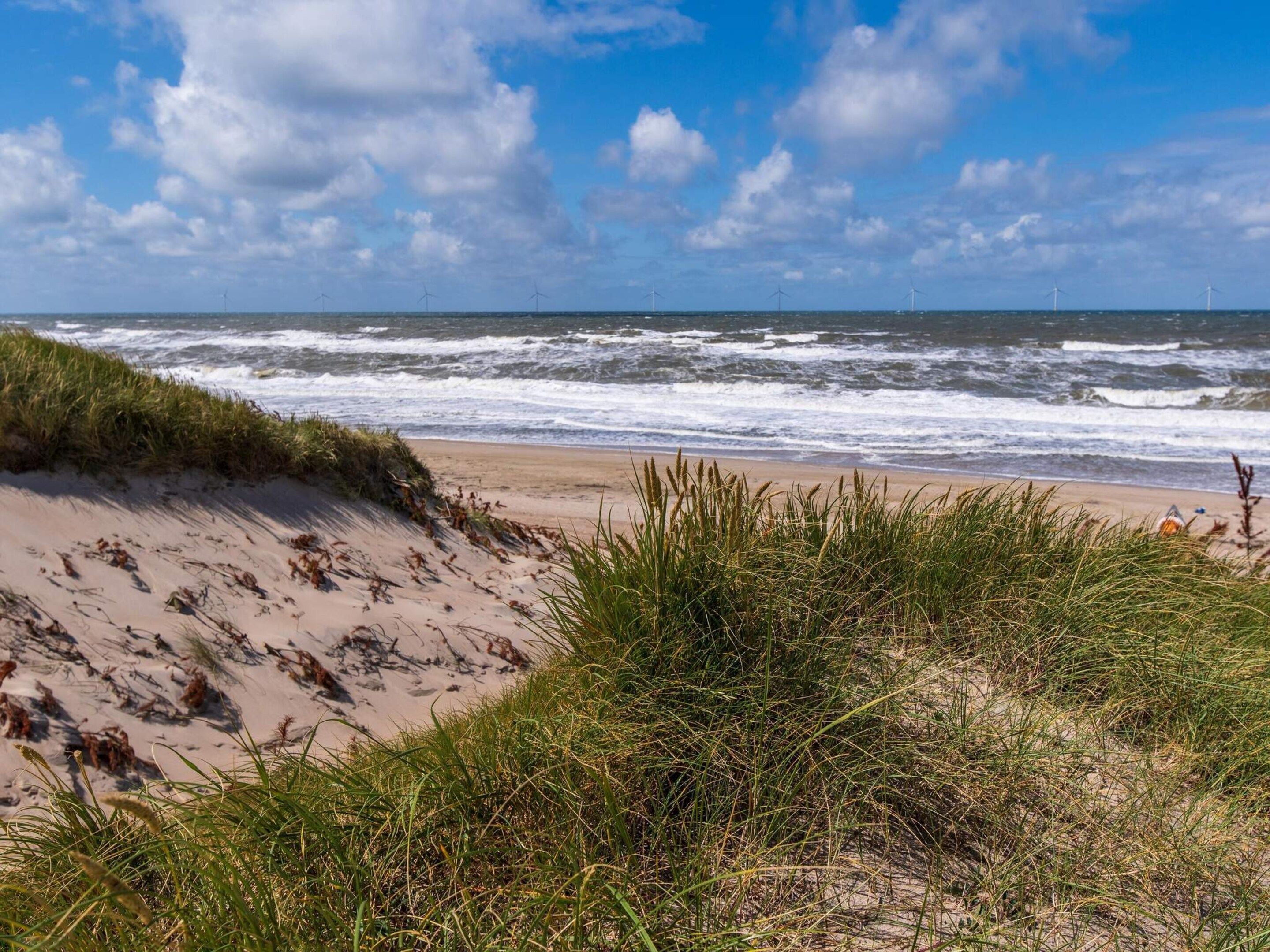 A beach with waves, grassy dunes, and wind turbines in the distance.
