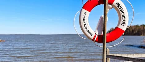 A lifebuoy with text on a pole by a body of water.