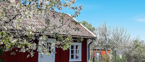 A red wooden house with a white door and windows, a bench, and a garden with a lawn and trees.