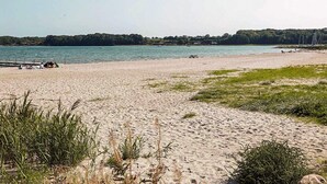 Une plage avec une rive sablonneuse, une jetée et une table de pique-nique.