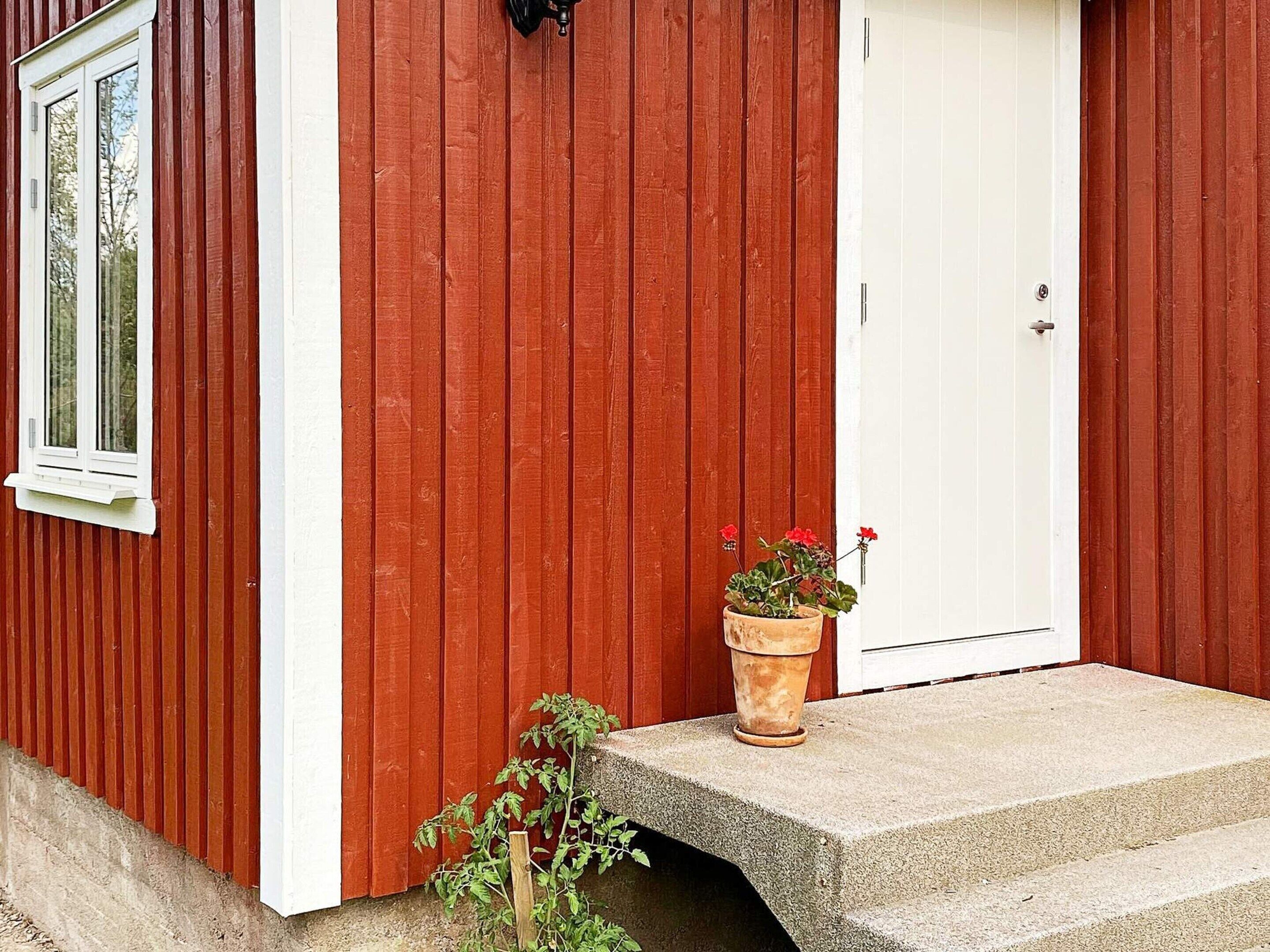 A red wooden building with a white door and a window. There is a concrete step leading to the door, and a potted plant with red flowers on the step.