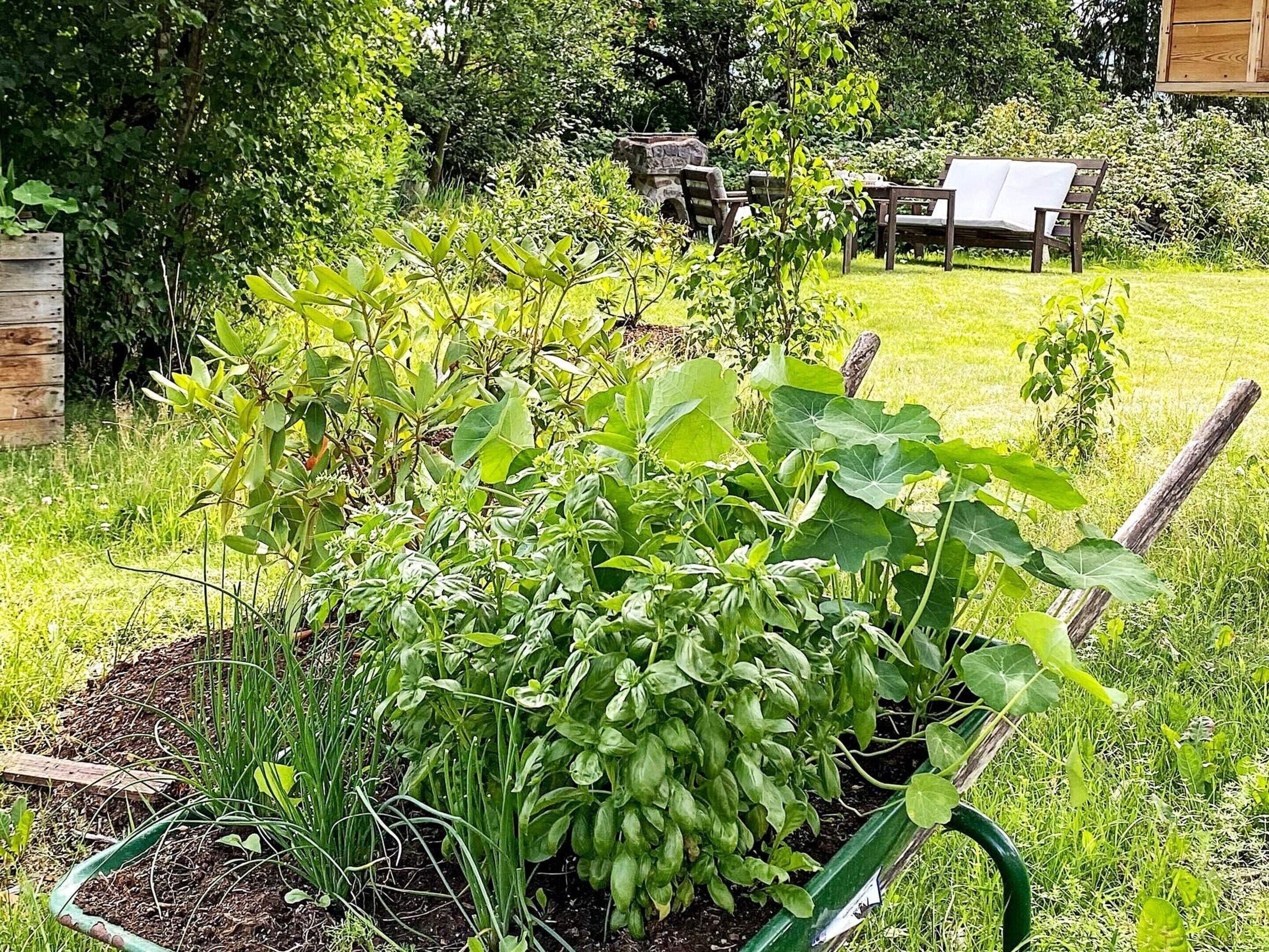 Een tuin met een kruiwagen, een houten bank en een tafel met een witte tafelkleed.