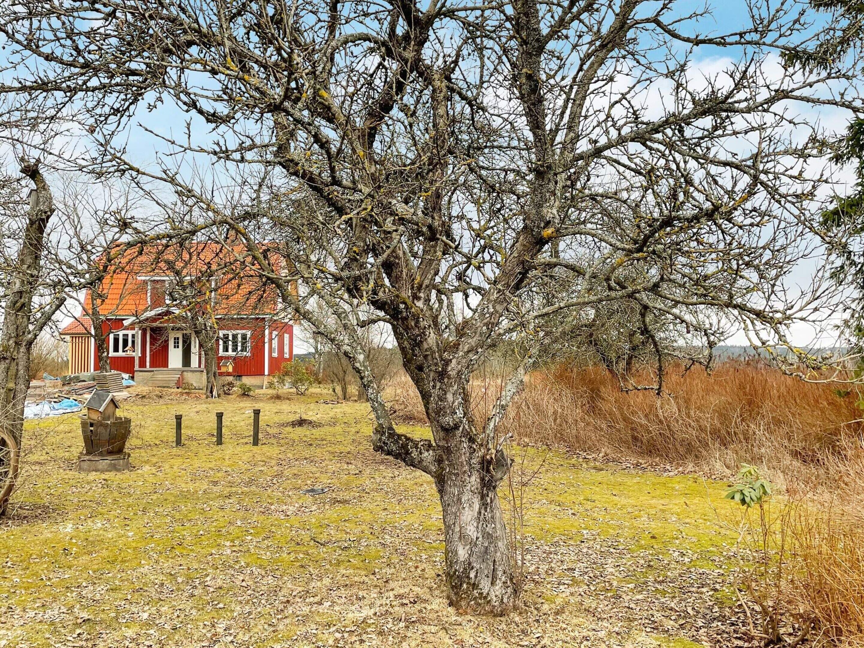 A house with a red roof and a large tree in the foreground.