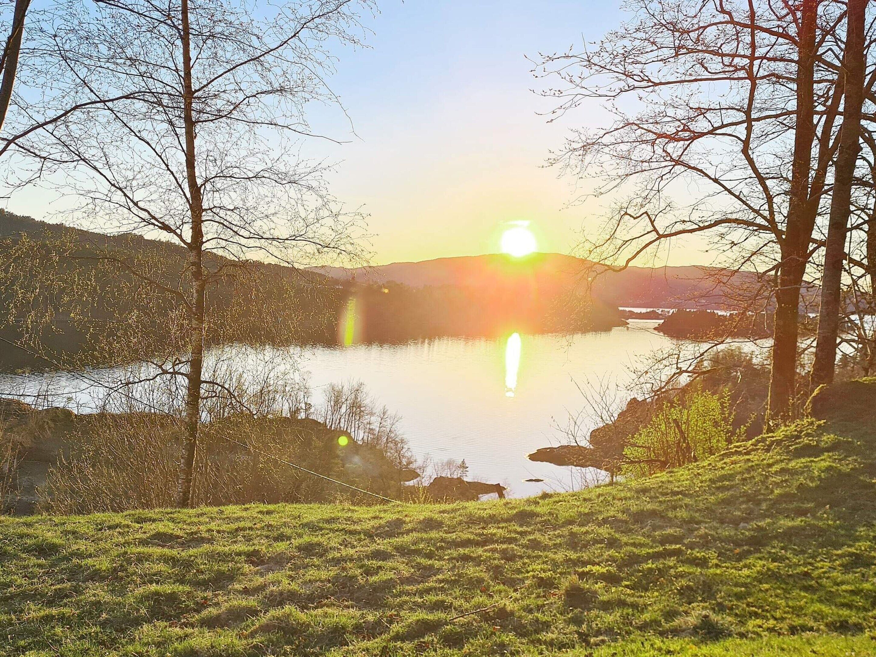 A serene lakeside view with a sunset, surrounded by trees and grassy areas.
