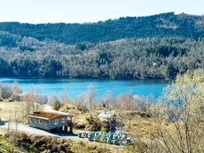 A lakeside cabin with a dirt roof, surrounded by trees and a clear view of the lake.