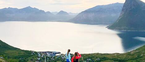 House | Miscellaneous