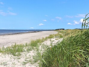 Een strand met duinen en gras op de voorgrond, een heldere lucht en een vergezicht op de zee.