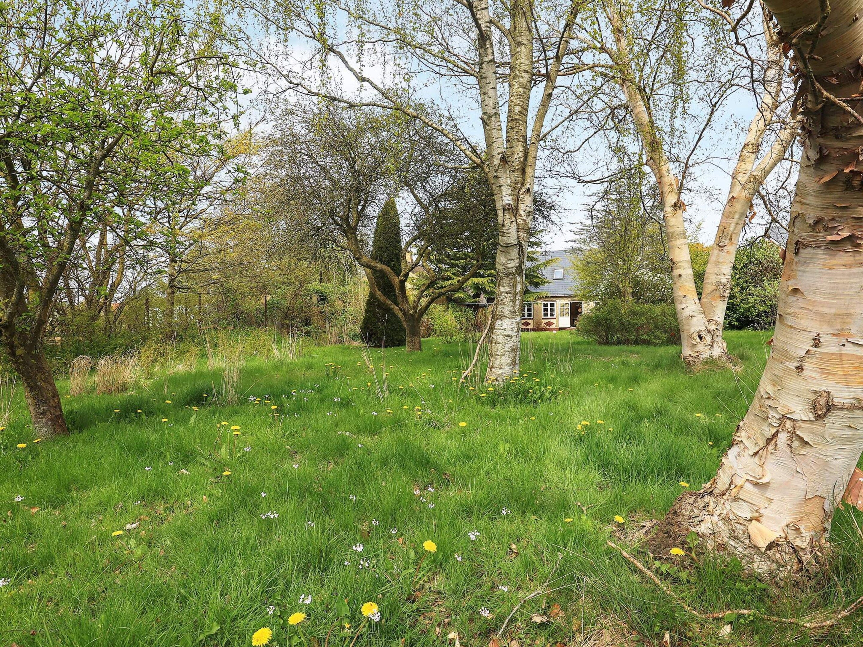Eine natürliche Landschaft mit einem Haus im Hintergrund, umgeben von Bäumen und Gras.