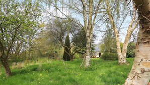 A natural landscape with a house in the background surrounded by trees and grass. - 6 Person Holiday Home in Aeroskobing (Aeroskobing)