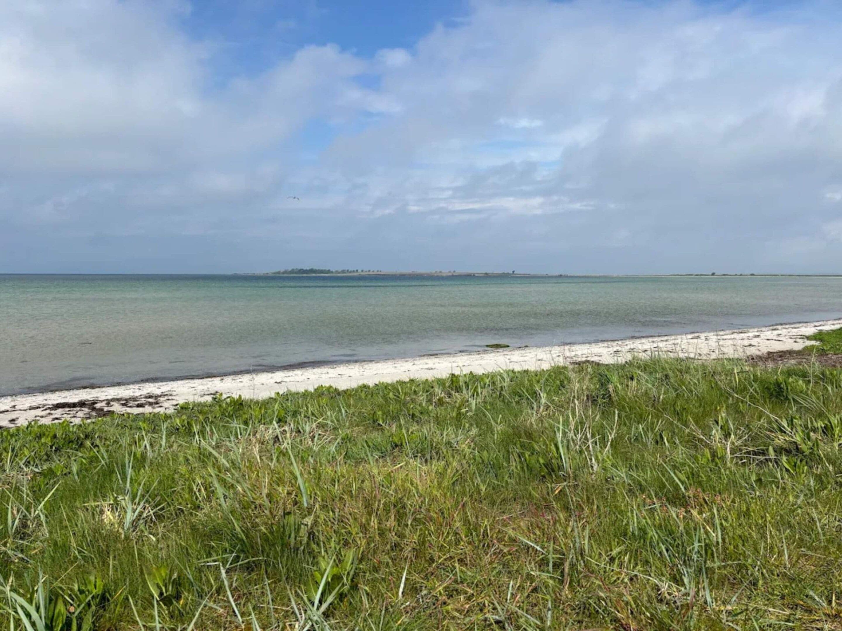 Ein Strand mit klarem Wasser, sandigem Ufer und grüner Vegetation.