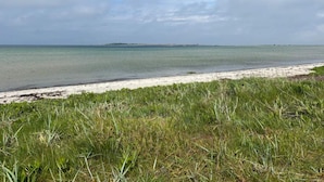 A beach with clear water, a sandy shore, and grassy vegetation. - 6 Person Holiday Home in Aeroskobing (Aeroskobing)