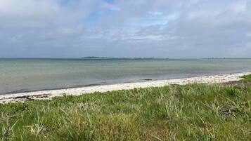 Ein Strand mit klarem Wasser, sandigem Ufer und grüner Vegetation.