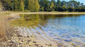 Un lac aux eaux limpides, bordé d’une plage de sable et entouré d’une forêt dense.