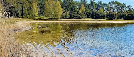 A clear lake with a sandy shore and dense trees in the background.