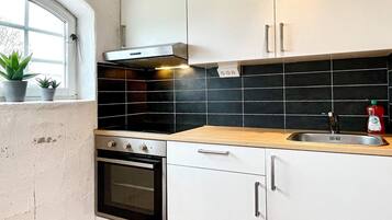 Una cocina con estufa, horno y ventana con plantas.