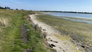 En sandstrand med sparsom vegetation og en klar himmel.