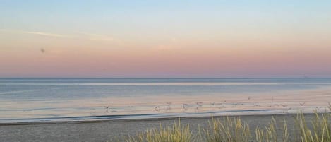 A beach with sand, grass, and a calm sea.
