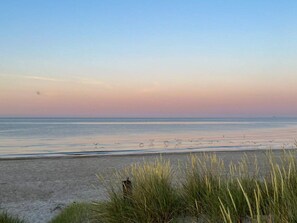 A beach with sand, grass, and a calm sea. - 6 Person Holiday Home in Albaek (Aalbaek)