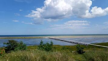 A coastal landscape with a pier extending into the water, surrounded by grassy areas and a clear sky.