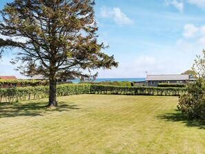 A vineyard with rows of grapevines, a large tree, and a building with a tiled roof. - 6 Person Holiday Home in Hadsund (Hadsund)