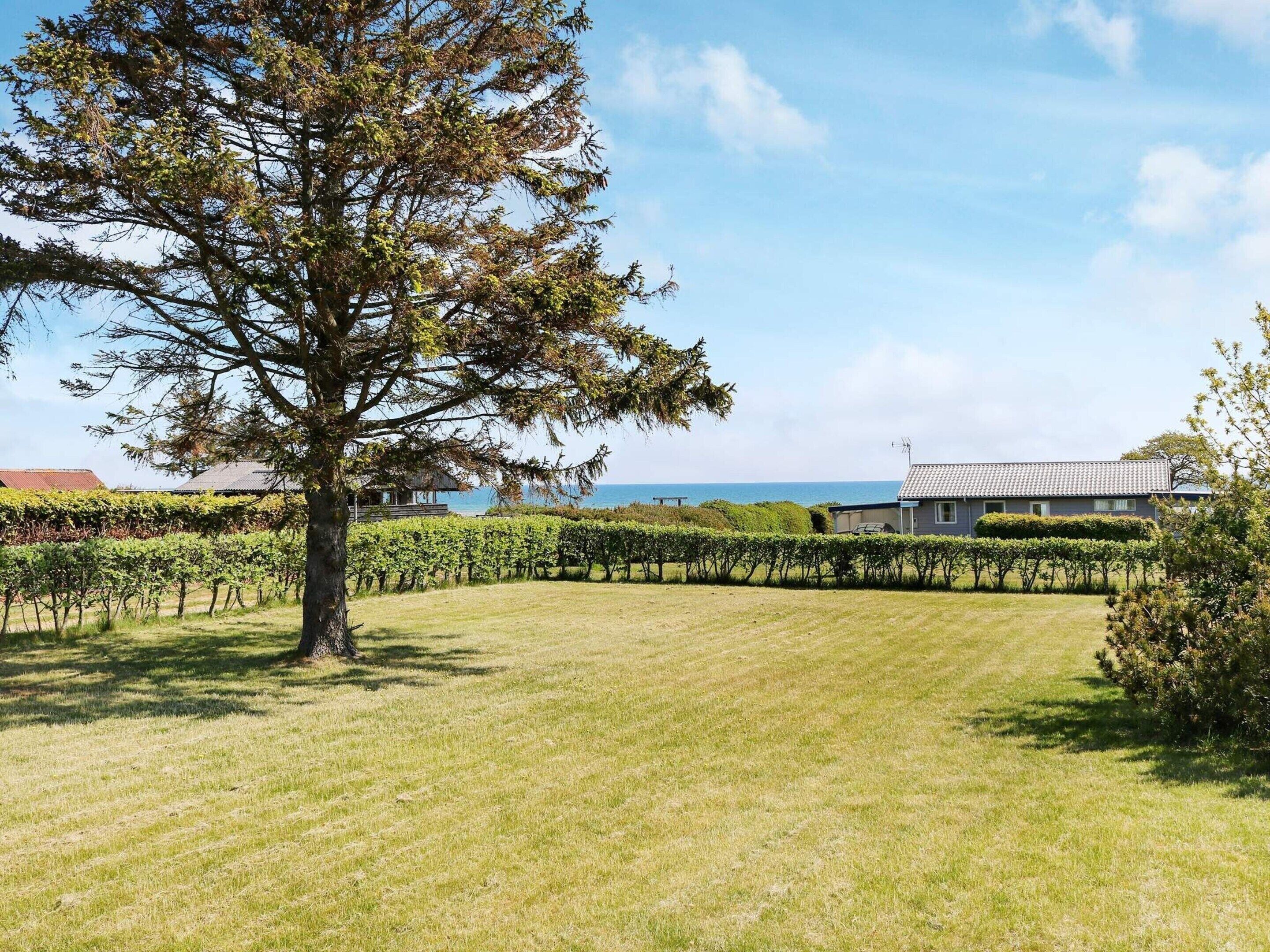 House | View from property