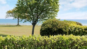 A tree in a grassy area with a view of the sea. - 6 Person Holiday Home in Hadsund (Hadsund)