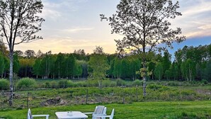 A grassy outdoor area with a table and two chairs, surrounded by trees and a fence. - 6 Person Holiday Home in Tingsryd-by Traum (Tingsryd)