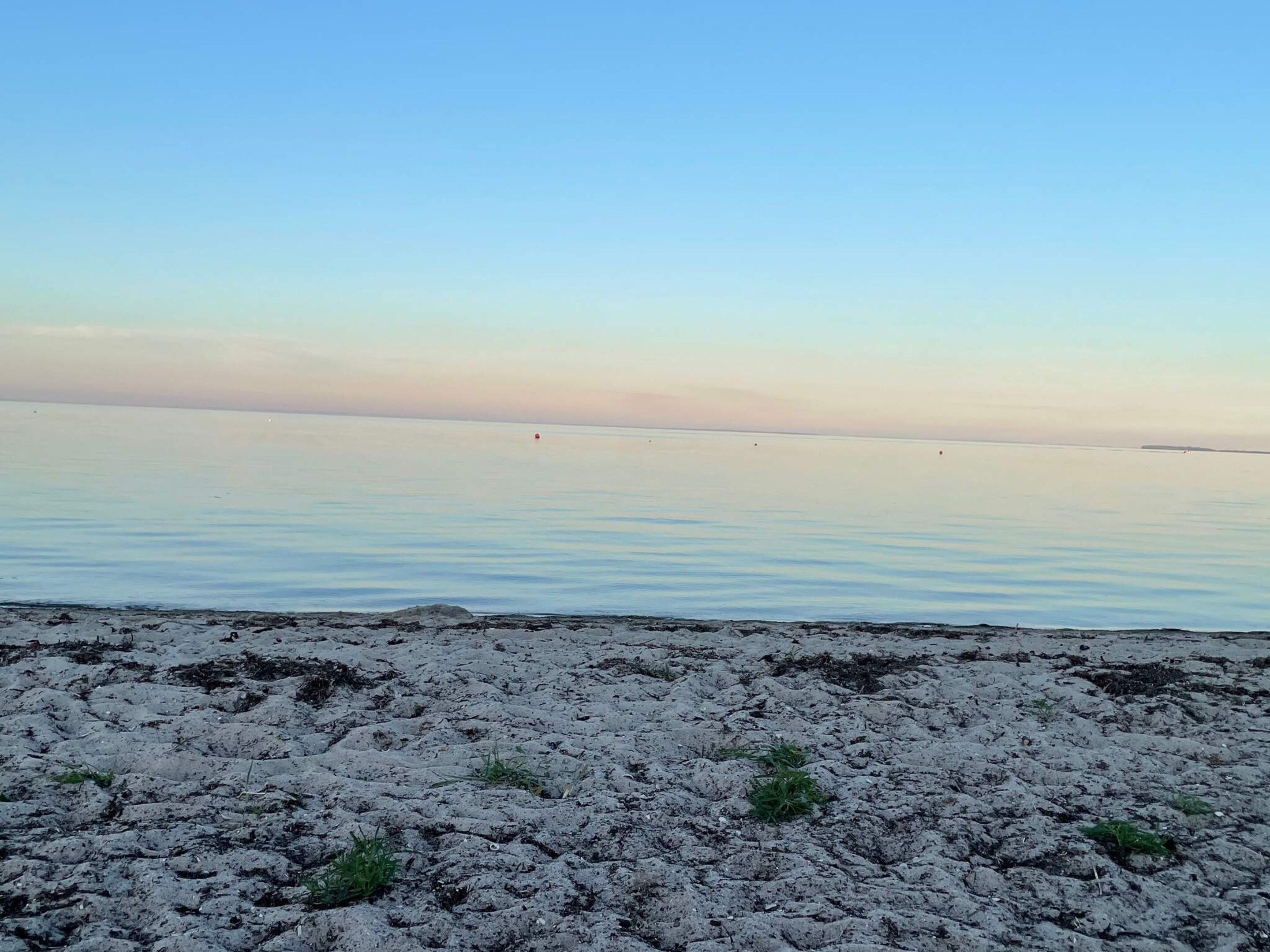 Une plage avec un ciel dégagé et une eau calme.