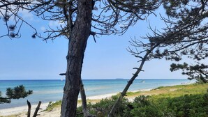 Une plage offrant une vue dégagée sur la mer, un rivage sablonneux et quelques zones verdoyantes.