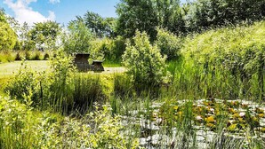 A pond surrounded by lush greenery and a stone structure. - 14 Person Holiday Home in Ronne (Akirkeby)