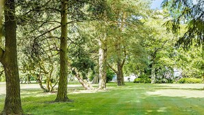 A park with mature trees and a well-maintained grassy area. - 14 Person Holiday Home in Ronne (Akirkeby)