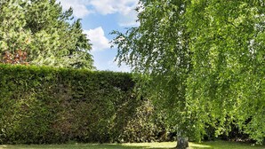 A well-maintained garden with a variety of trees and a neatly trimmed hedge. - 14 Person Holiday Home in Ronne (Akirkeby)