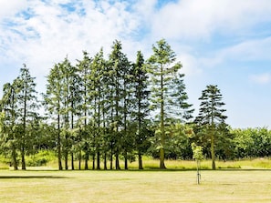 A grassy field with a row of tall trees and a clear sky. - 14 Person Holiday Home in Ronne (Akirkeby)
