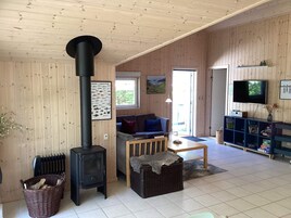 A cozy living room with a wood-burning stove, a sofa, a television, and a bookshelf.