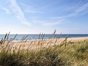 A beach with tall grass in the foreground and a clear sky.