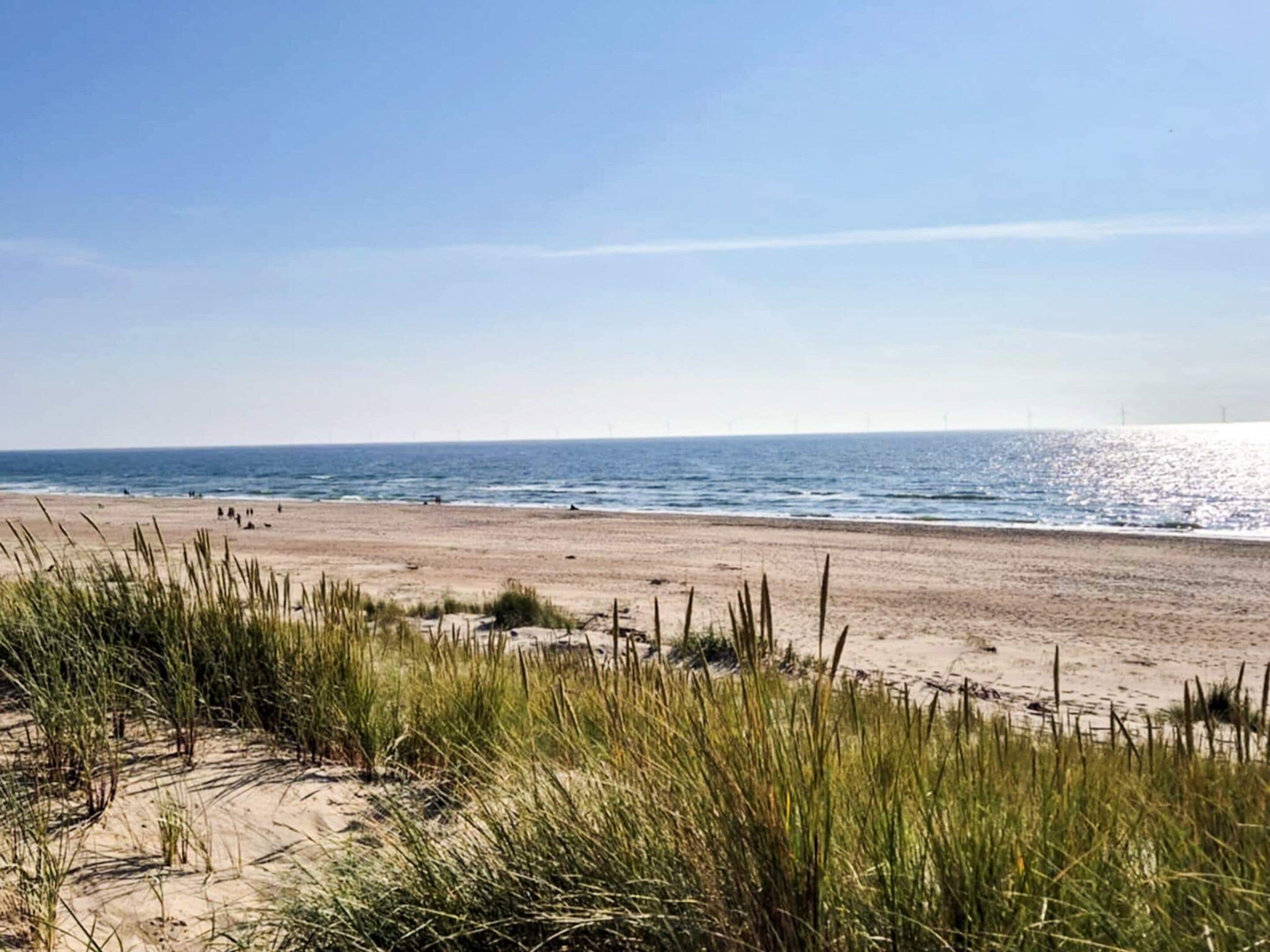 Ein Strand mit Dünen und Gras im Vordergrund und dem Meer im Hintergrund.