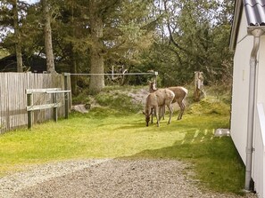 A fenced outdoor area with a gravel path, trees, and a wooden structure. - 2 Person Holiday Home in Vejers Strand (Vejers Strand)