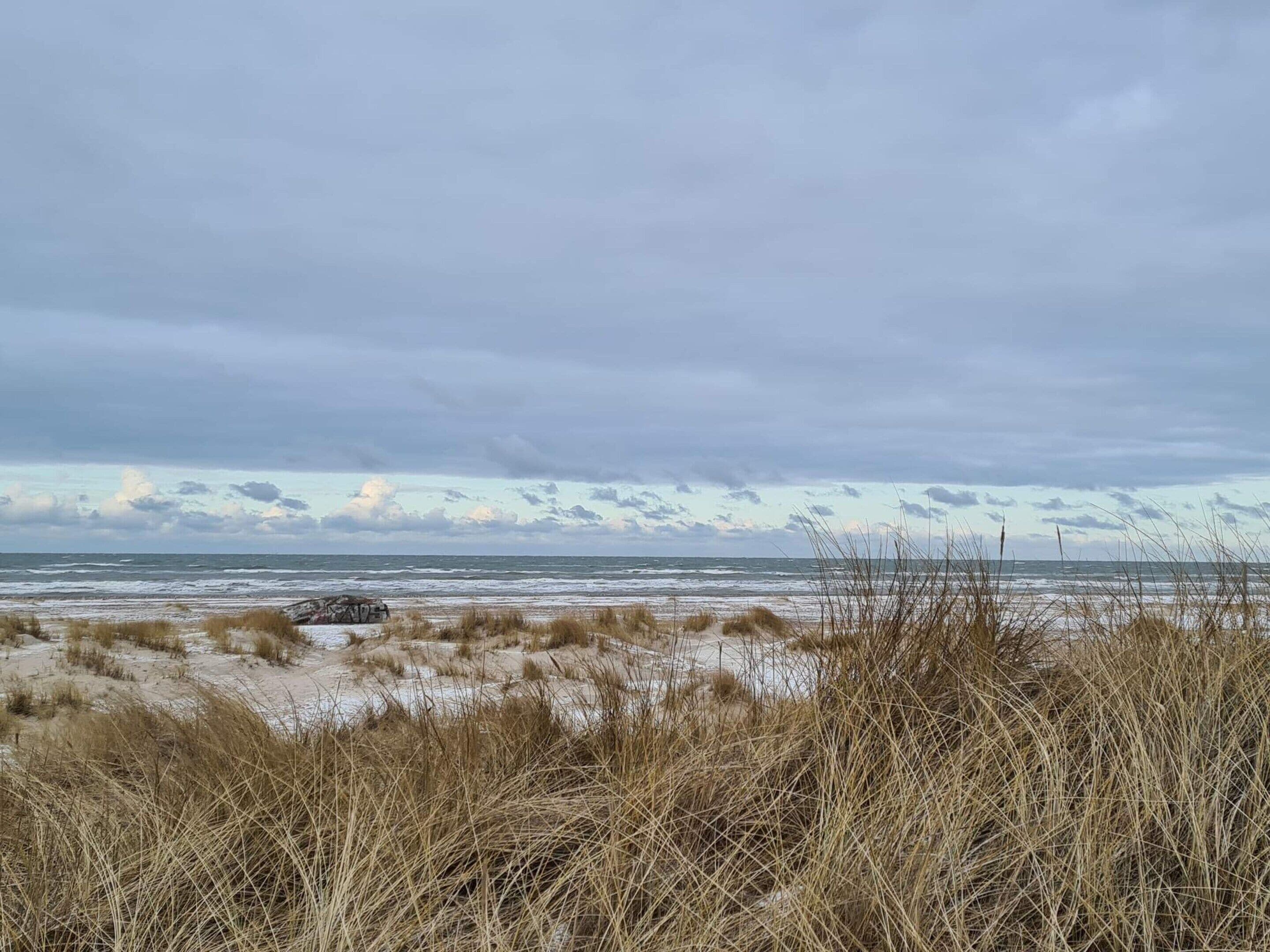A beach with sand dunes and sparse vegetation.