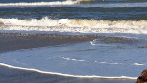 Une plage avec des vagues, un ciel dégagé et une bouée au loin.
