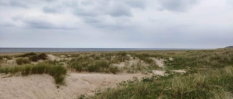 A coastal landscape with sand dunes and sparse vegetation.