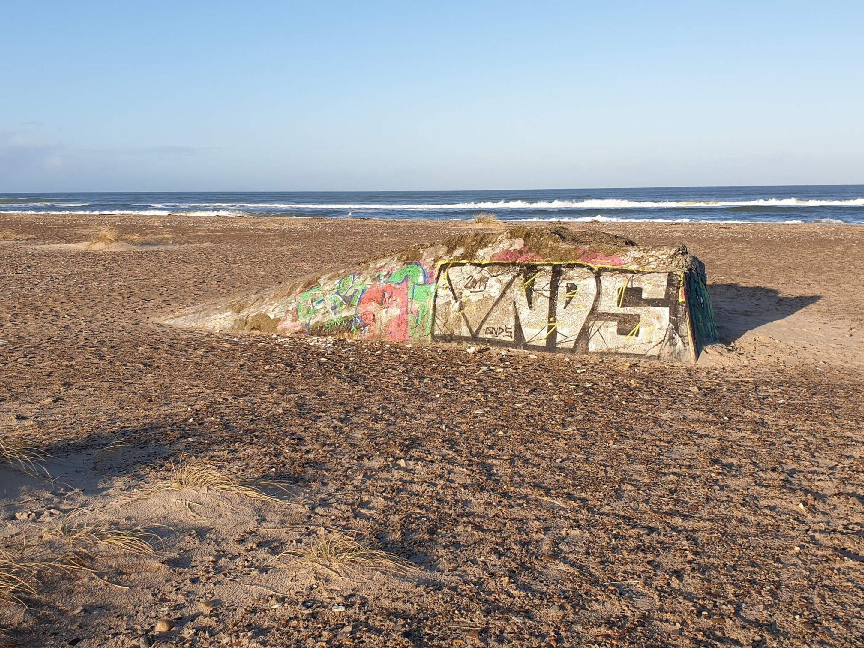 A beach with a graffiti-covered rock.