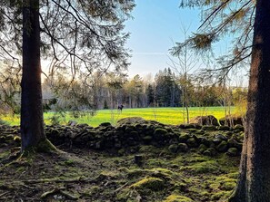 House | Miscellaneous - 8 Person Holiday Home in Moheda-by Traum (Moheda)