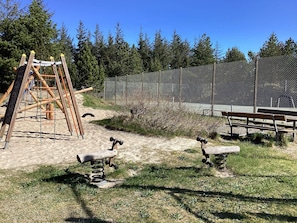 Un parque infantil con un tobogán y un columpio de madera, rodeado por una cerca de malla y árboles.