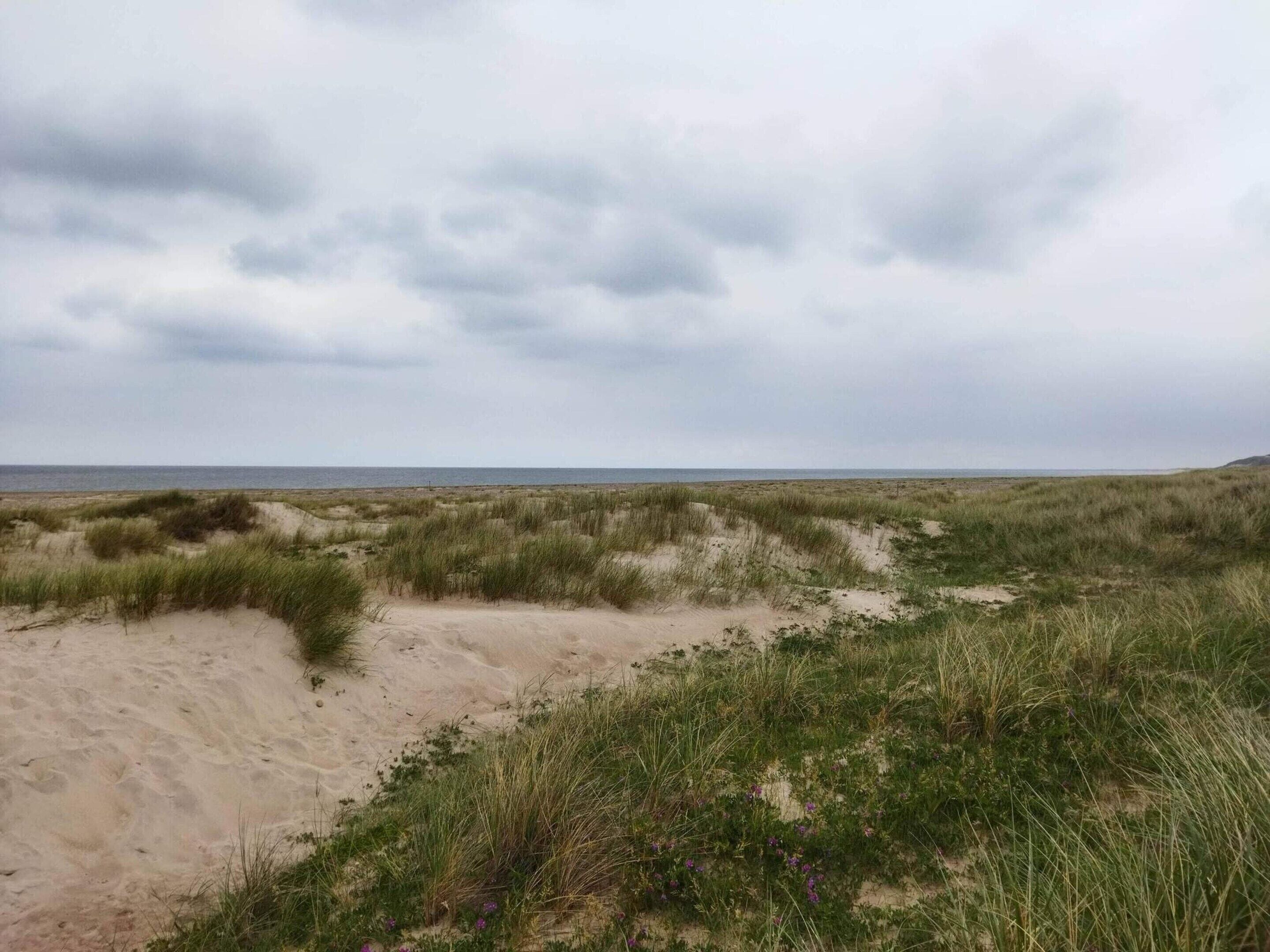 A coastal landscape with sand dunes and sparse vegetation.