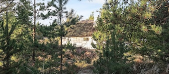 8 Person Holiday Home in Fjerritslev