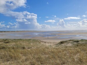A coastal landscape with a sandy beach and grassy dunes.