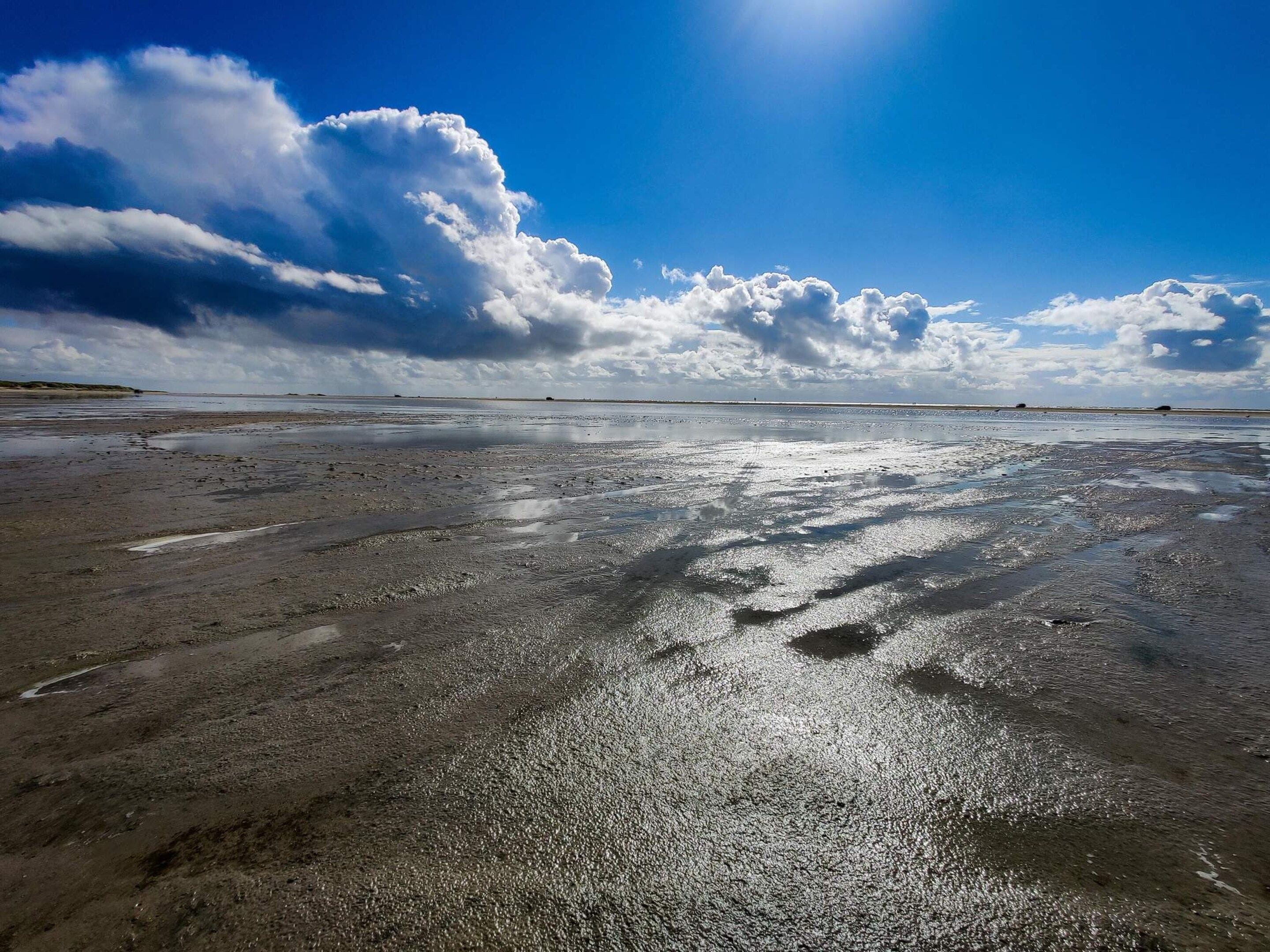 Une plage avec du sable humide et un ciel dégagé.
