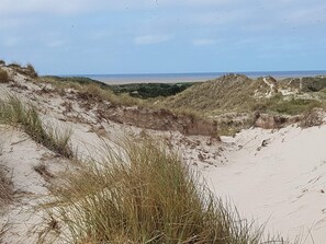 A coastal landscape with sand dunes and sparse vegetation. - 6 Person Holiday Home in Fano (Fano)