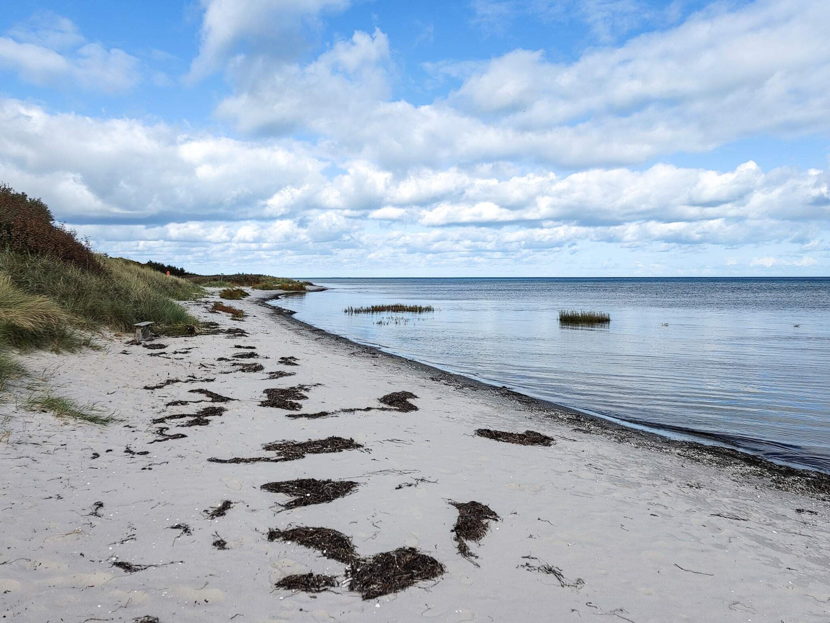 A beach with a sandy shore and calm water.