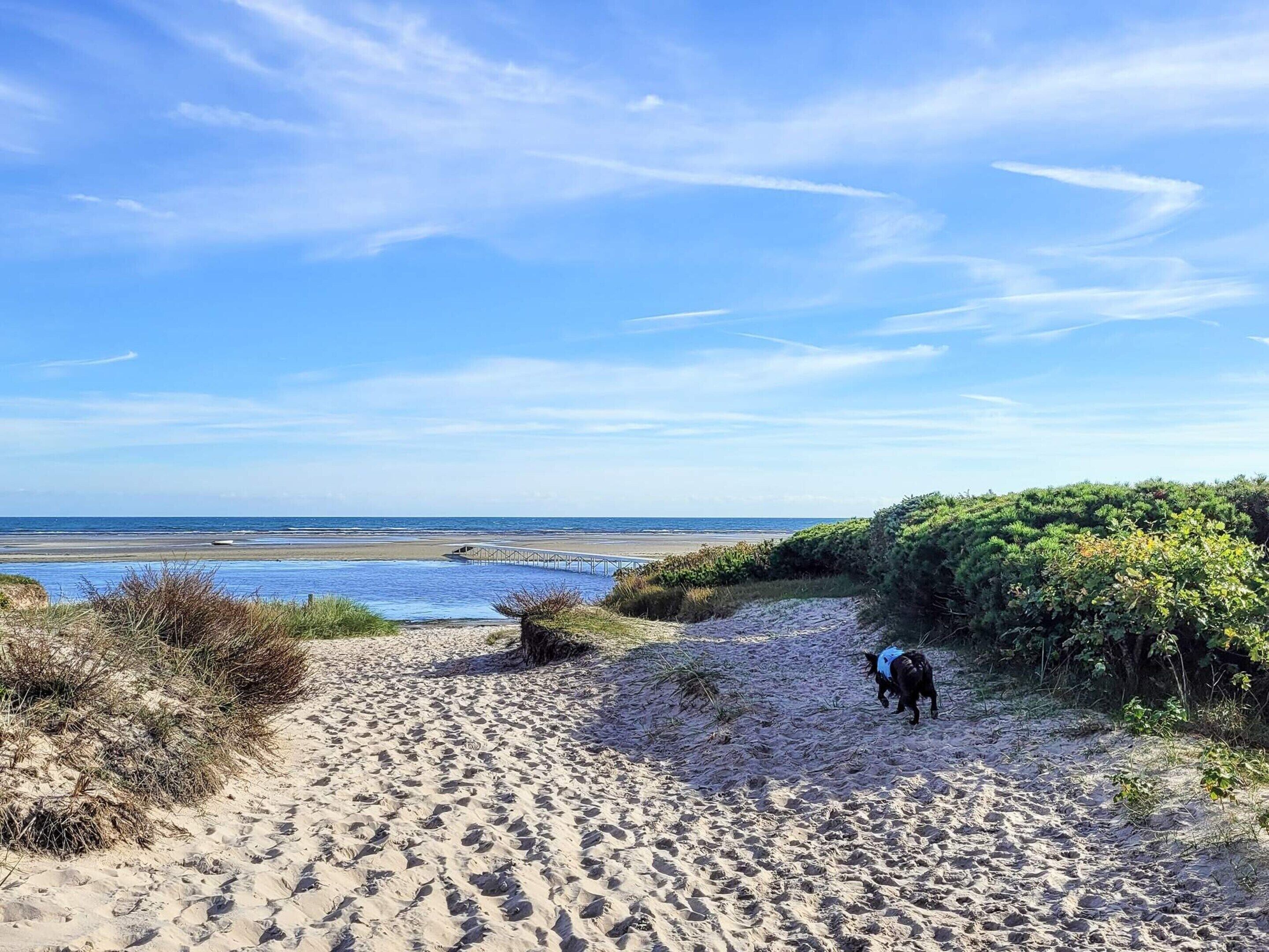 Ein Strand mit einem sandigen Pfad, der zum Meer führt, einer kleinen Brücke und üppiger Bepflanzung.